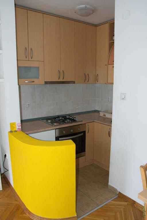 Studio Apartment In Novi Sad Center المظهر الخارجي الصورة